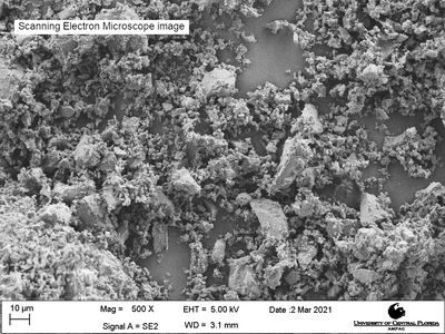 Scanning electron microscope image of LHS-1D, magnification 500X