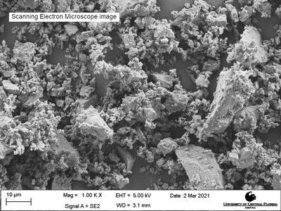 Scanning electron microscope image of LHS-1D, magnification 1000X