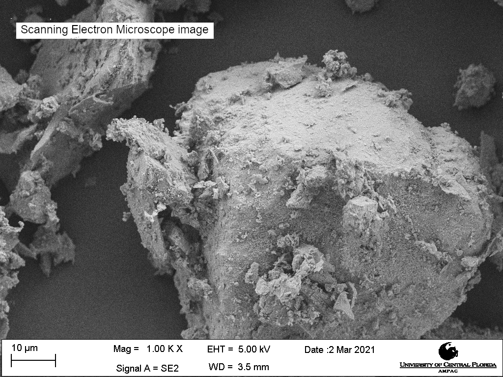 Scanning electron microscope image of LMS-1, magnification 1000X