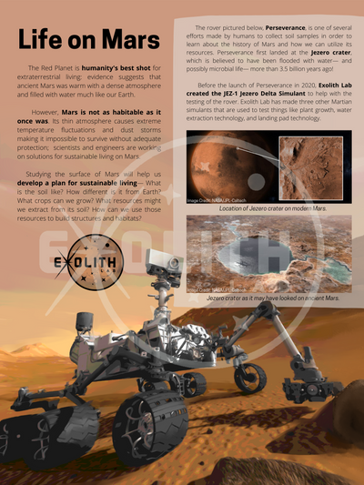 Martian Poster
