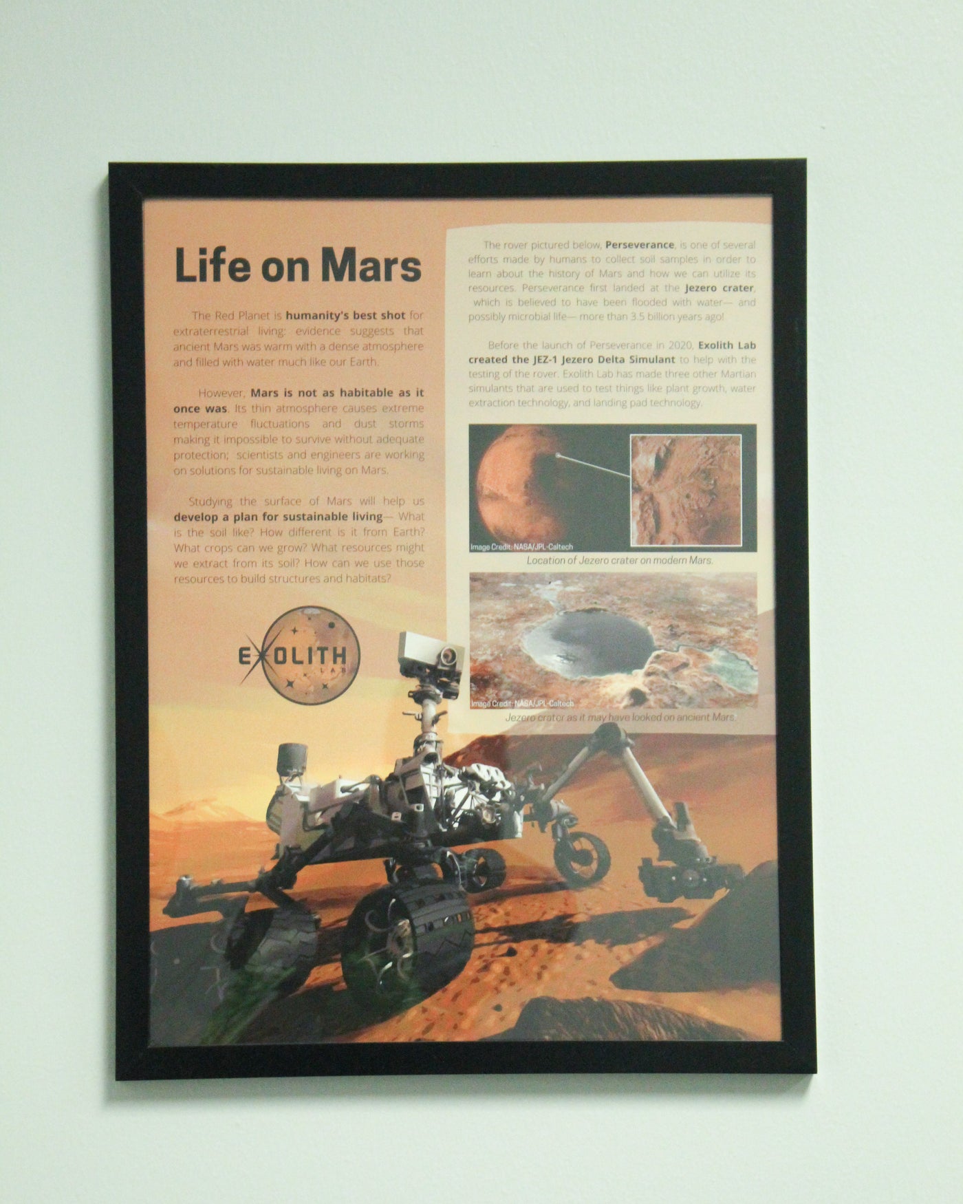 Martian Poster